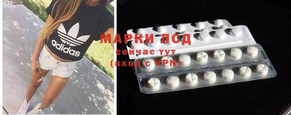 гидропоника Алзамай