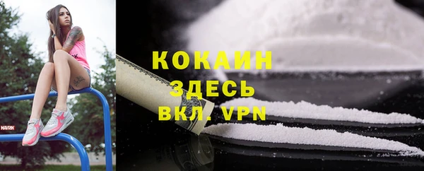 гидропоника Алзамай
