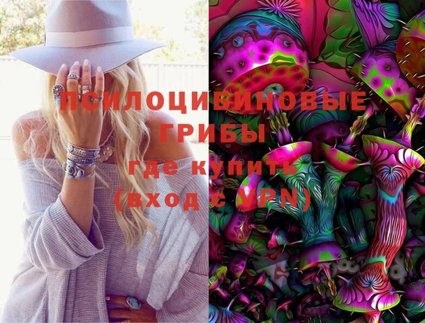 гидропоника Алзамай