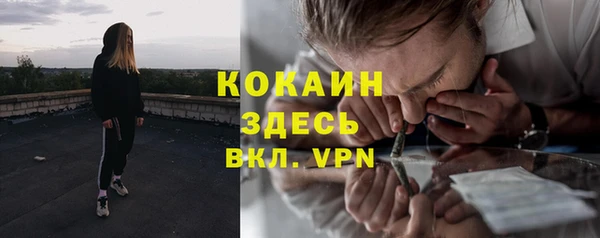 спайс Алексин
