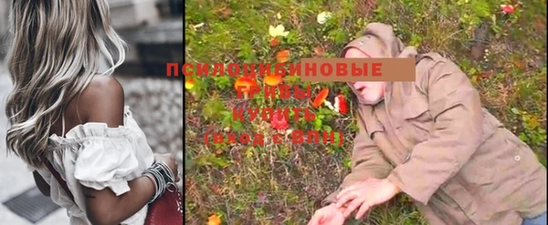 бошки Абаза