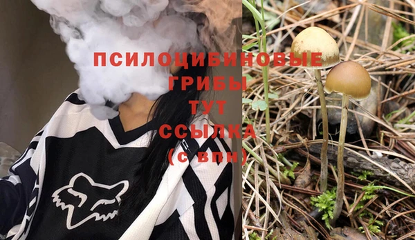 спайс Алексин