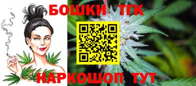 стаф Гай