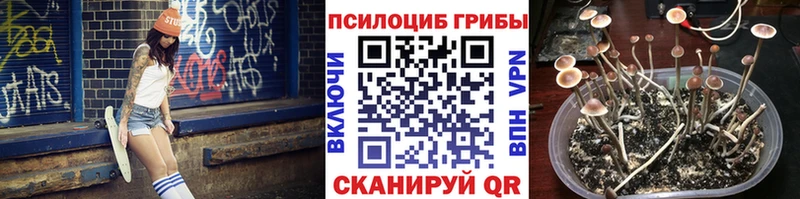 как найти Донской Галлюциногенные грибы мицелий