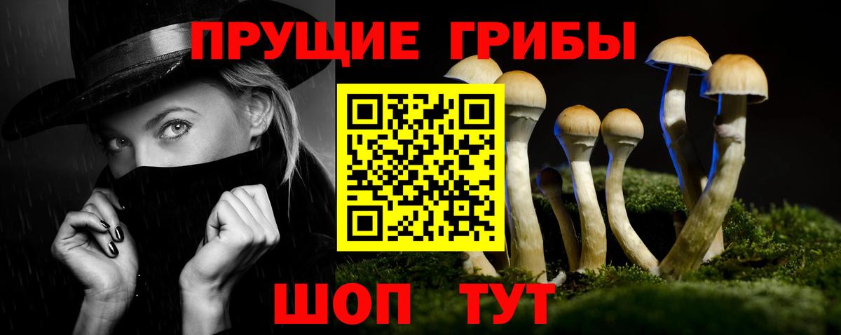 Донской  Галлюциногенные грибы Psilocybe  магазин продажи   Вход с VPN 